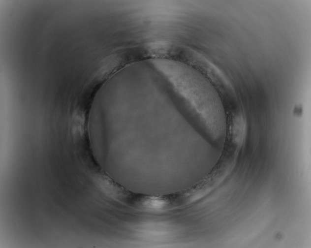 X0000102860610200808181443