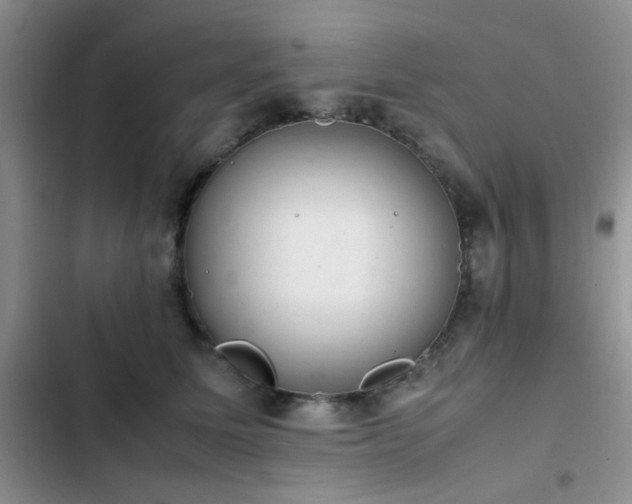 X0000102860611200808181443