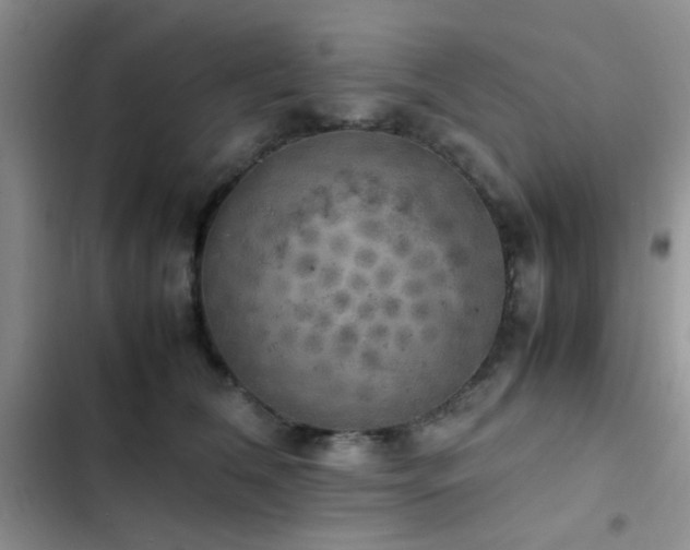 X0000102860612200808181443