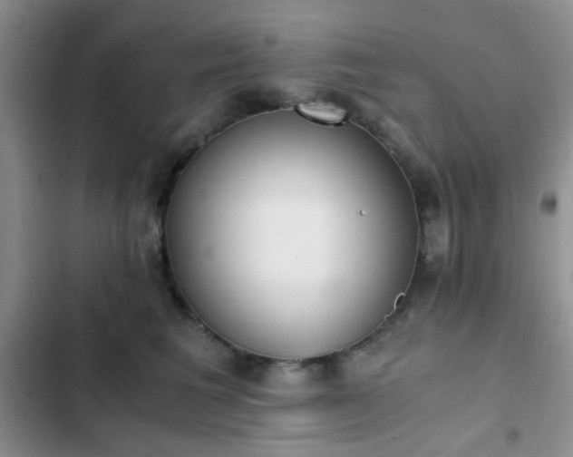 X0000102860613200808181443