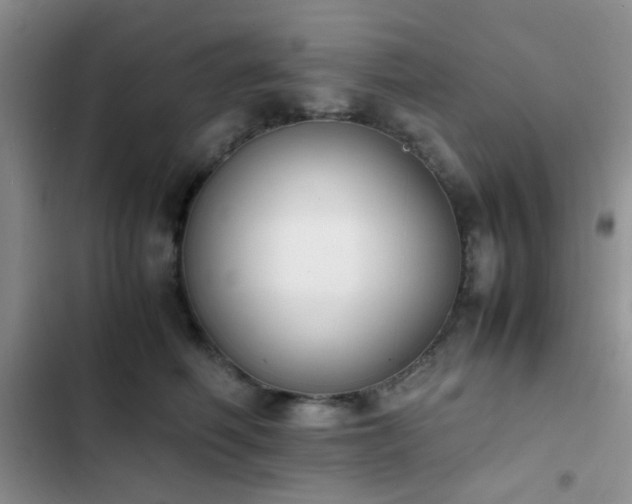 X0000102860614200808181443