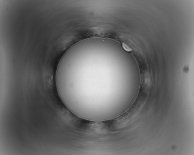 X0000102860615200808181443