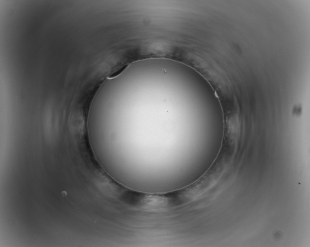 X0000102860617200808181443