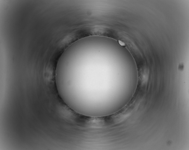 X0000102860619200808181443