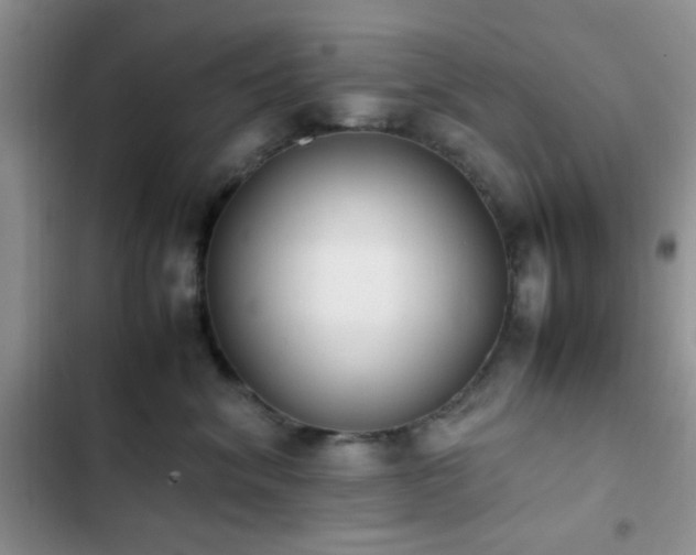 X0000102860620200808181443