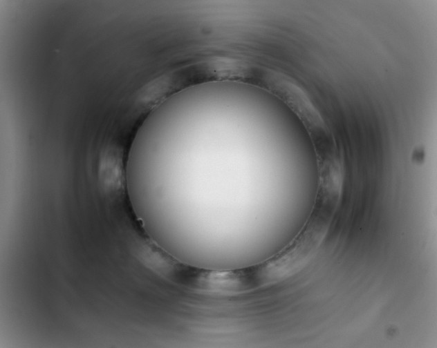 X0000102860622200808181442