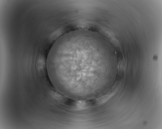 X0000102860623200808181442