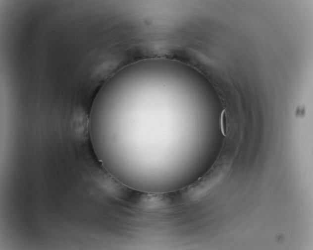 X0000102860624200808181442