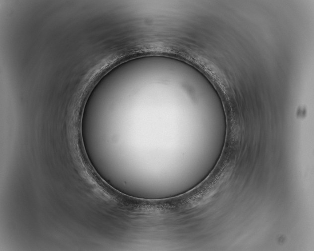 X0000102860625200808181442