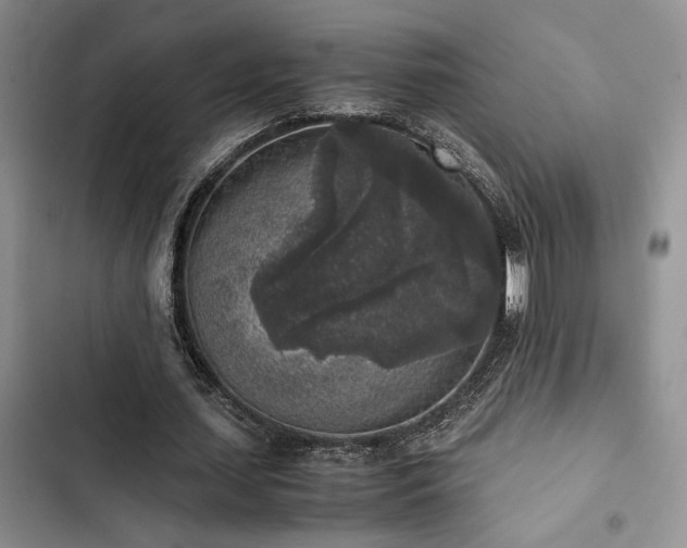 X0000102860627200808181442