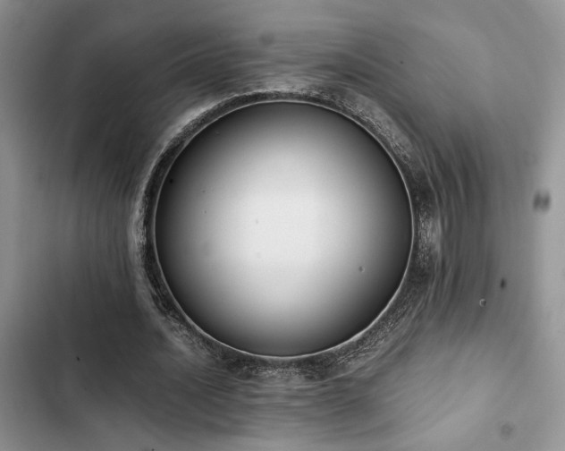 X0000102860628200808181442