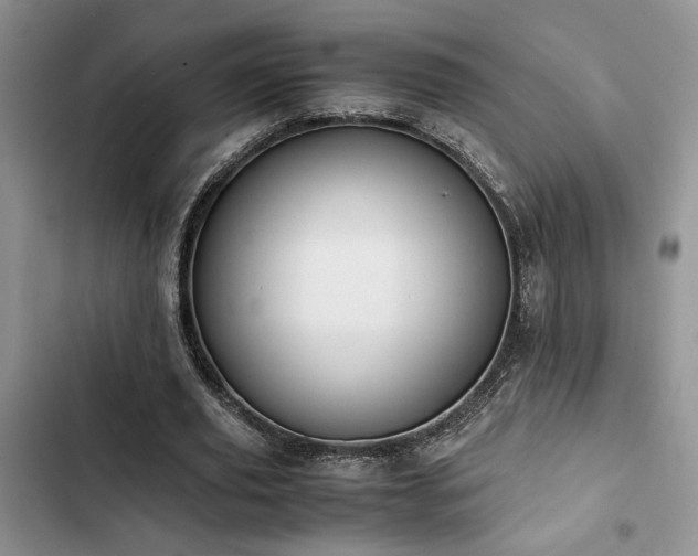 X0000102860629200808181442