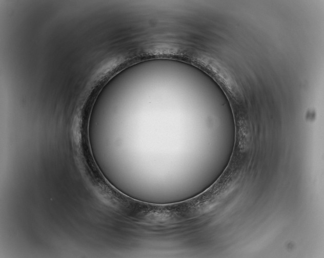 X0000102860631200808181442