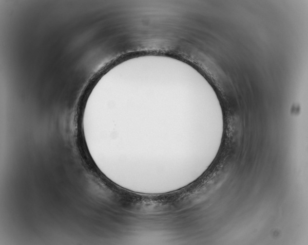 X0000102860632200808181442