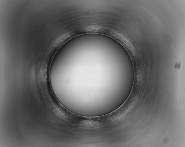 X0000102860633200808181442