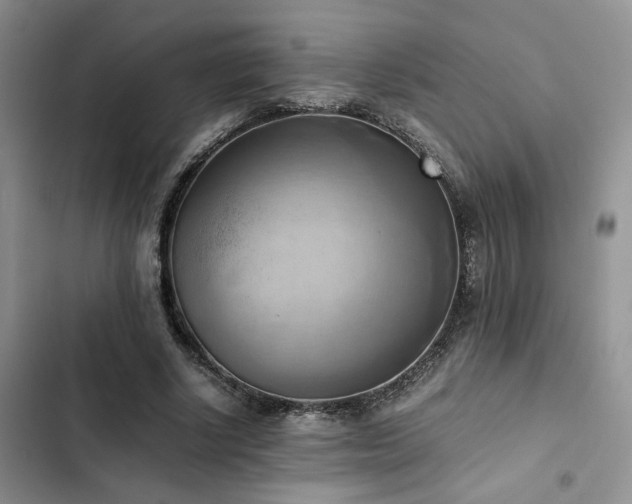 X0000102860634200808181442