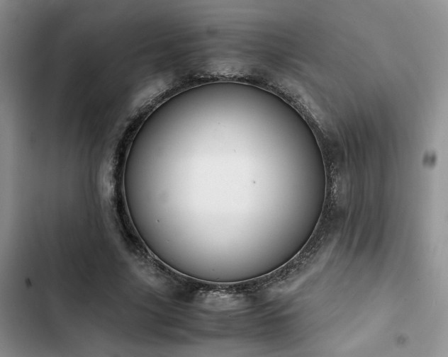 X0000102860635200808181442