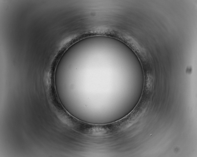 X0000102860636200808181442