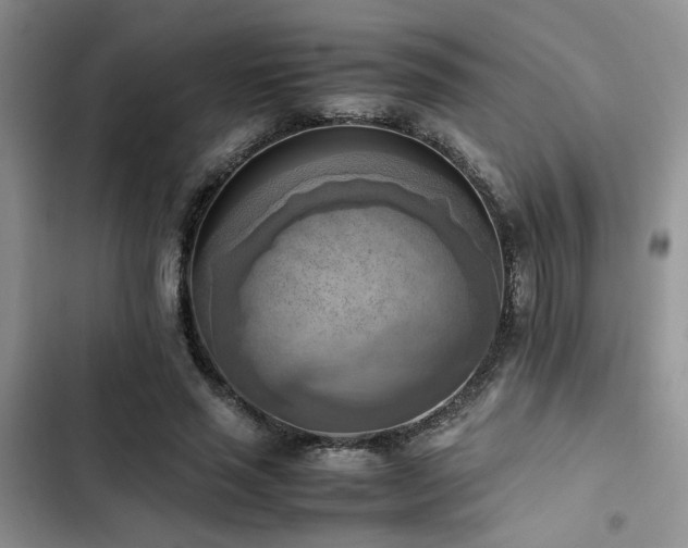 X0000102860637200808181442