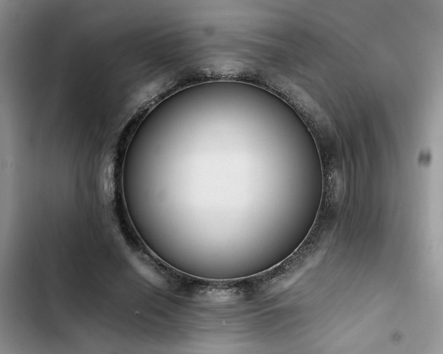 X0000102860638200808181442