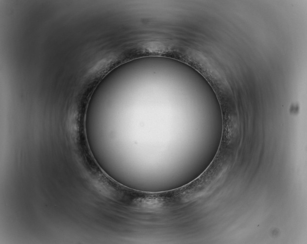 X0000102860639200808181442