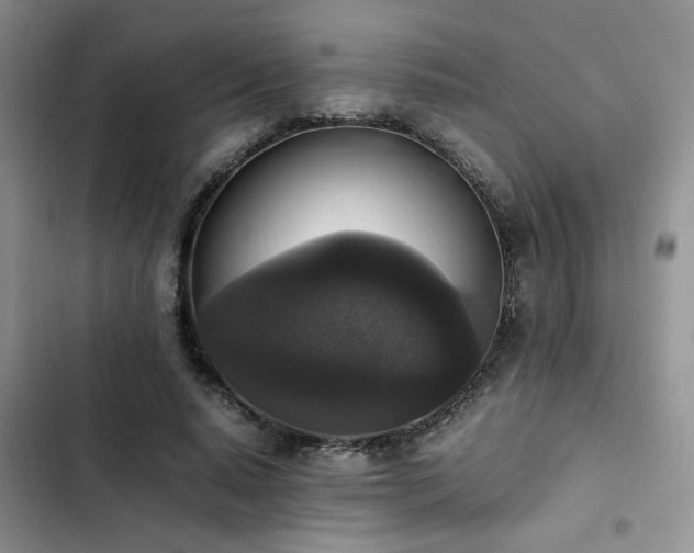 X0000102860640200808181442