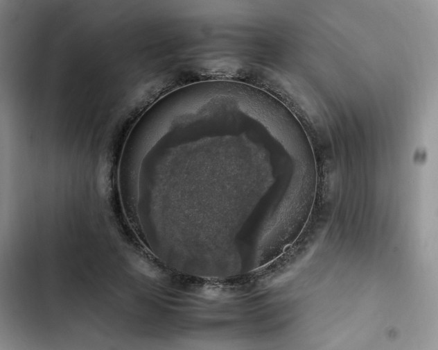 X0000102860641200808181442