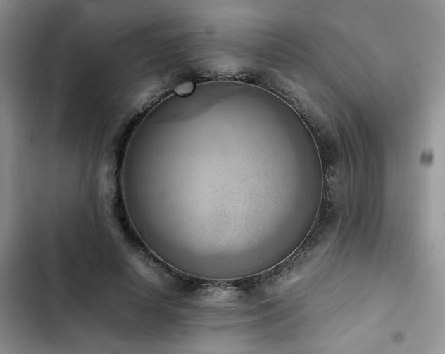 X0000102860642200808181442