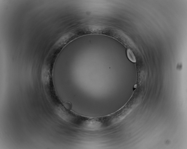 X0000102860644200808181442