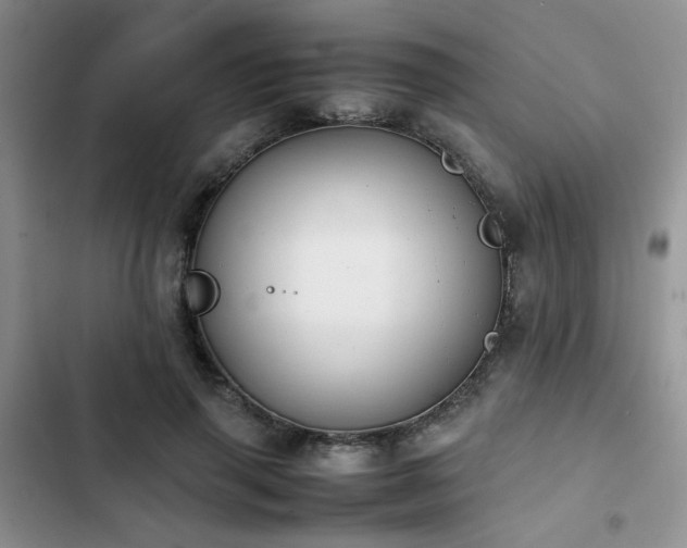 X0000102860645200808181442