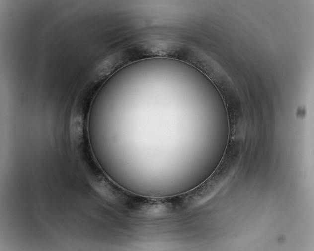 X0000102860646200808181442