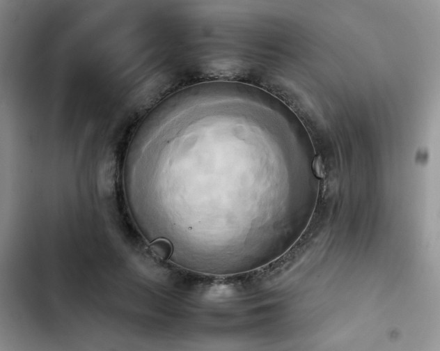 X0000102860647200808181442