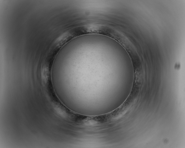 X0000102860648200808181442