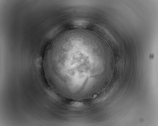 X0000102860649200808181442