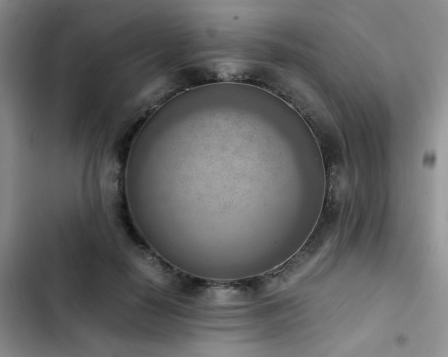 X0000102860650200808181442