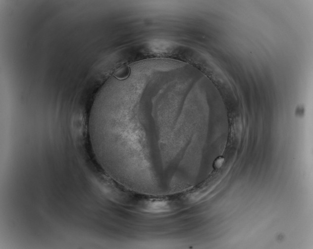 X0000102860651200808181442