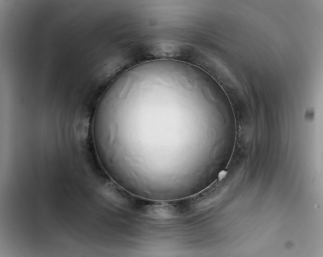 X0000102860652200808181442