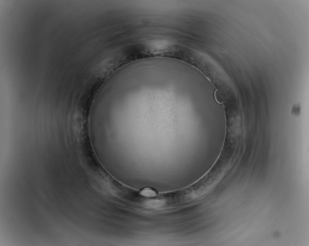 X0000102860653200808181442