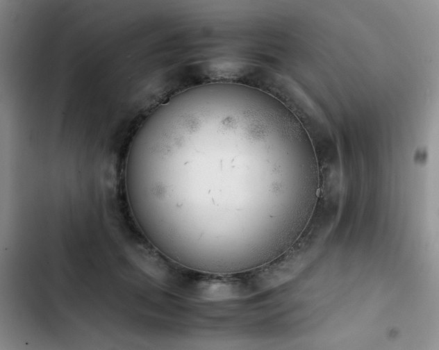 X0000102860655200808181442