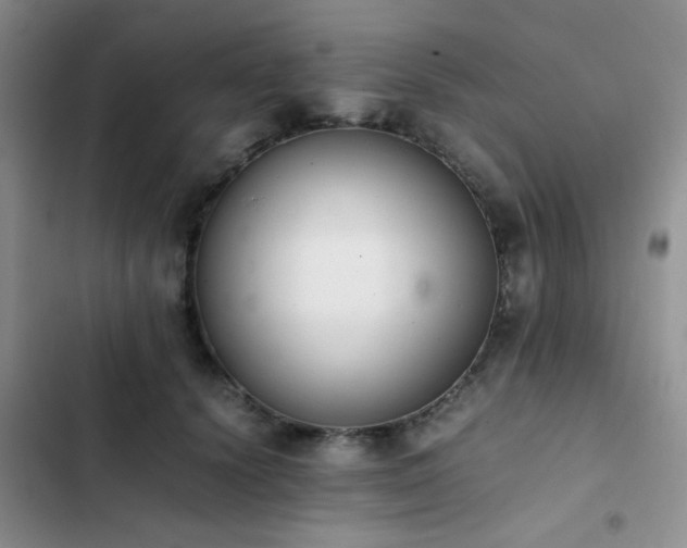 X0000102860656200808181442