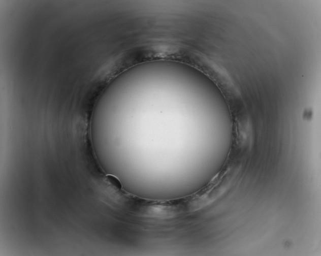 X0000102860657200808181442