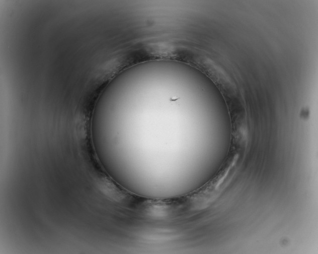 X0000102860658200808181442