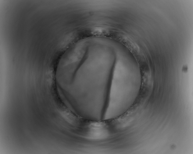 X0000102860659200808181442