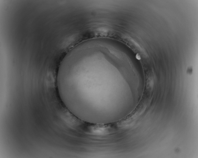 X0000102860661200808181442