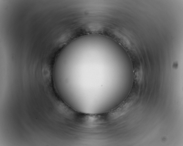 X0000102860662200808181442