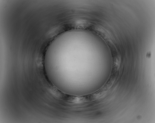 X0000102860663200808181442