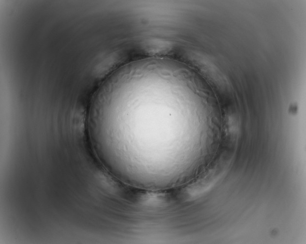 X0000102860664200808181442