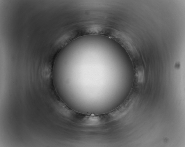 X0000102860665200808181442