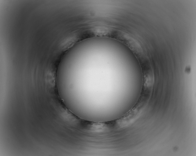 X0000102860666200808181442