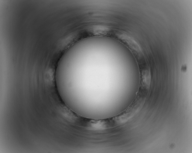 X0000102860667200808181442